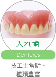 入れ歯 Dentures 技工士常駐・種類豊富